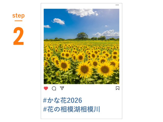 ②指定のハッシュタグを付けて、写真をInstagramに投稿